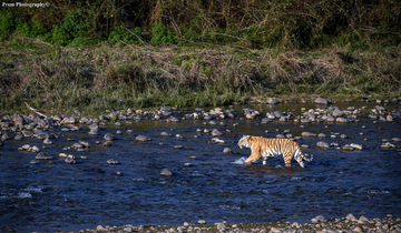 The_Corbett_National_Park_is_known_for_its_tiger_safaris,_where_you_can_admire_the_rich_wildlife.